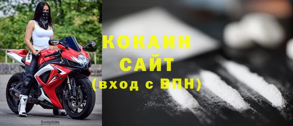 индика Магас